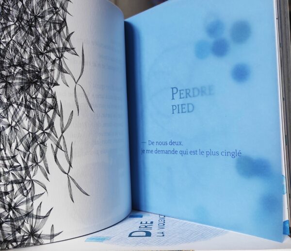 Coffret Dire la Violence Intime de Caroline Fernandes – Image 12
