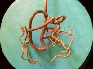 Formations & ateliers